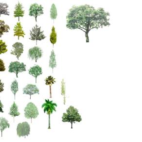 【免扣素材】植物立面PSD素材
